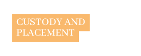 custody and placement